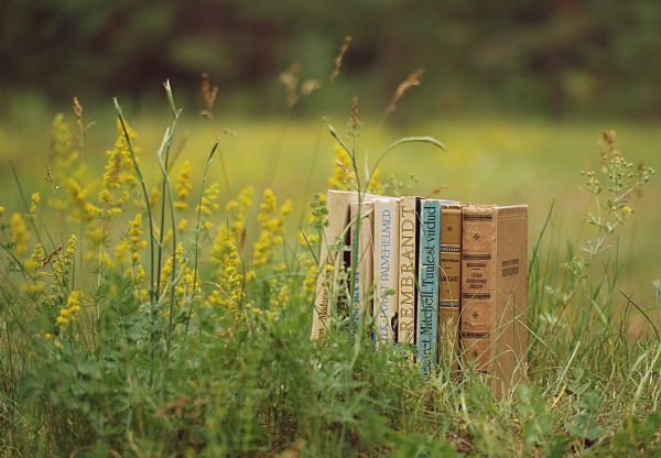 Stapel,Bücher,Gras,Stimmung