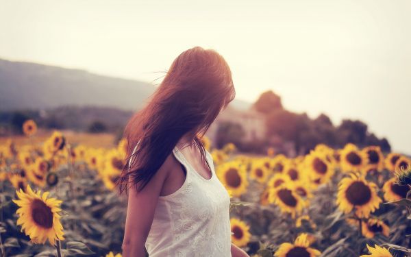 sunlight,sunset,photography,yellow,morning,emotion