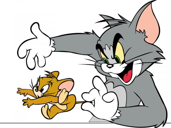 1600x1200 piksel,1tomjerry,animasyon,karikatür,kedi,komedi