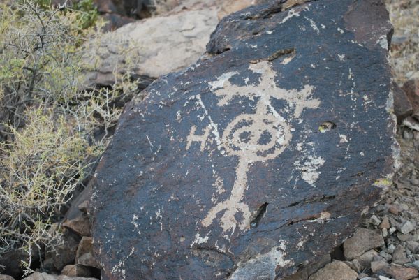 หิน,Boulder,วัสดุ,สัตว์ป่า,ต้นไม้,petroglyphs