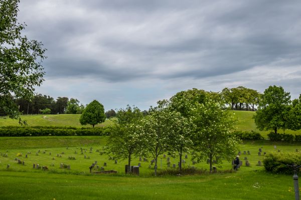 paysage,la nature,herbe,ciel,champ,colline