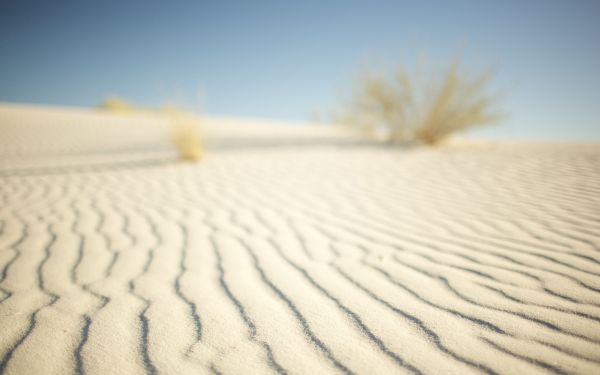 日光,風景,砂,空,砂漠,地平線