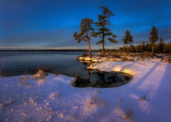 paesaggio,natura,acqua,inverno,la neve,alberi