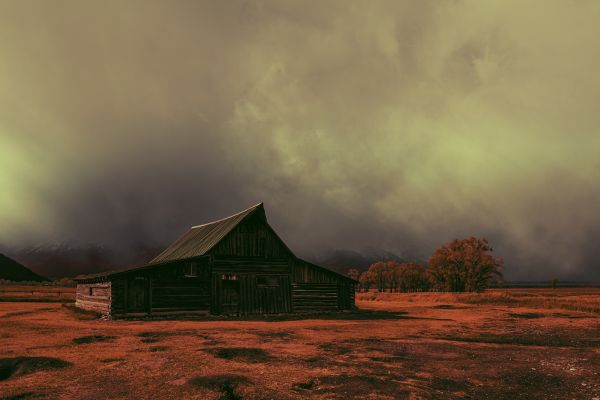 brouillard,paysage,cabine,cabane,Silent Hill,village