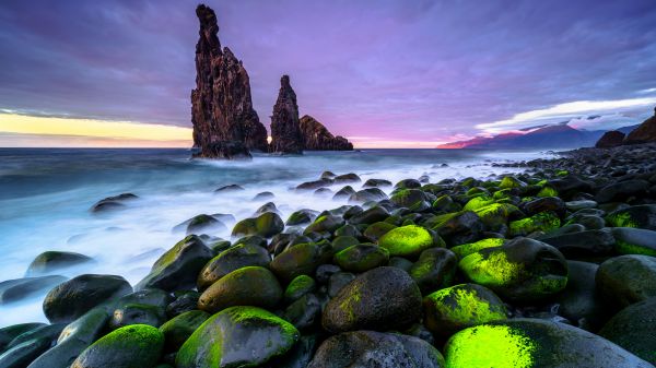 ポルトガル,マデイラ,海,海岸,石,岩