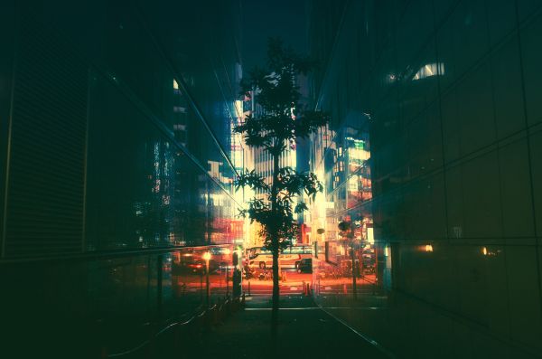 Japan,nacht,neon-,Masashi Wakui