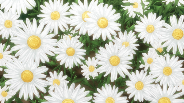 Non Non Biyori,fleurs