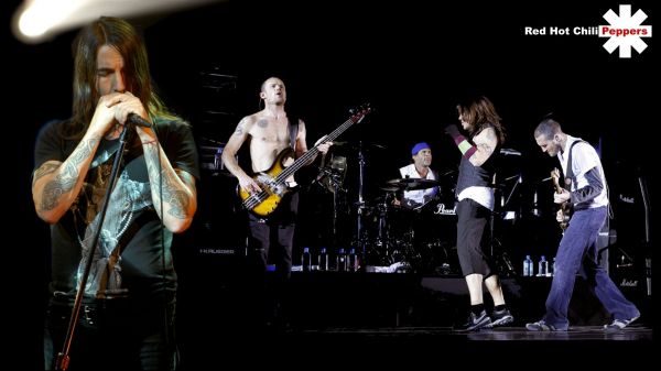 Red Hot Chili Peppers,ฉาก,แสดง,tatoo,เบา