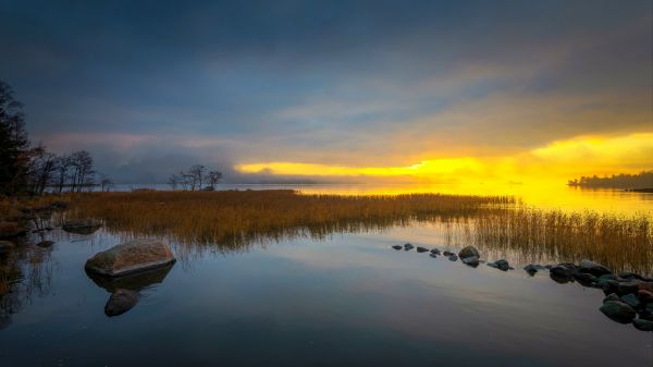 Finland,natur,solopgang,Kotka