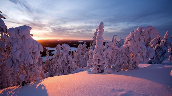 naturaleza,montañas,nieve