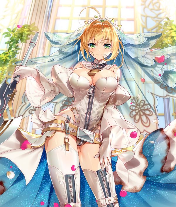 anime tytöt,anime,Fate Grand Tilaa,Murakami Yuichi,Nero Claudius,Sabre Bride