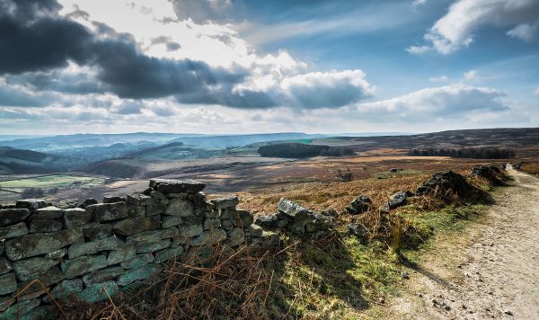 UK,derbyshire,rural,nature,British,countryside