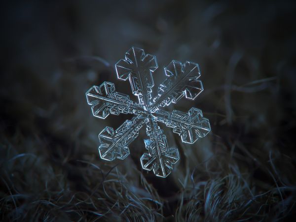 dunkel,abstrakt,Schnee,Winter,Nahansicht,Makro