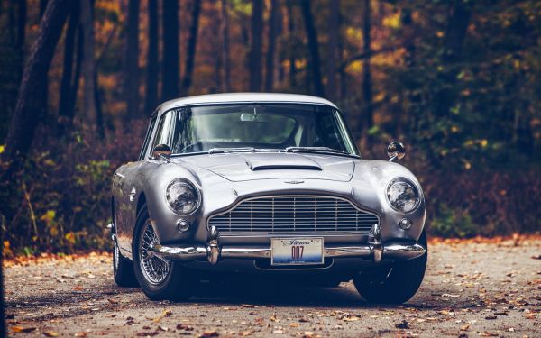 1920x1200 px,Aston Martin,Aston Martin DB5,auto,pudota,metsä