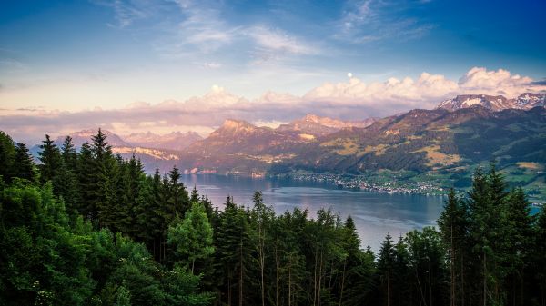 landscape,lake,nature,reflection,sunrise,forest