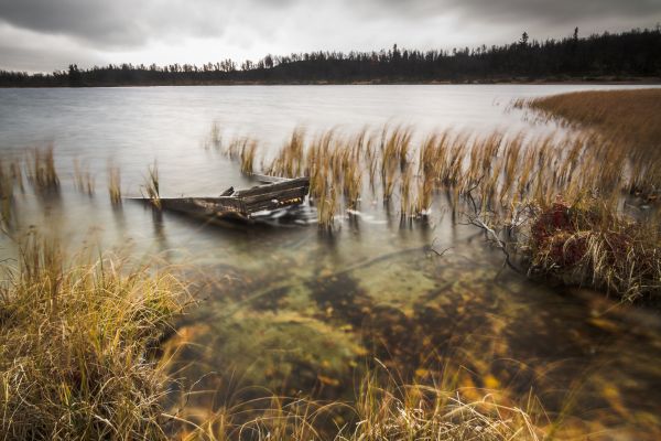 jezioro, długa ekspozycja, spadek, trawa, odchodzi, Norwegia