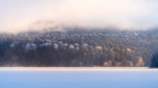 nuvem,agua,céu,atmosfera,Natural landscape,árvore