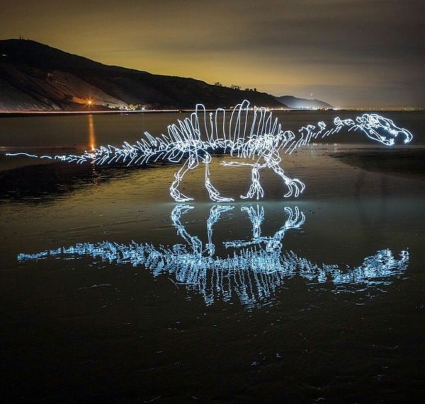 light painting,1080x1028 px,dinosaurs,evening,water