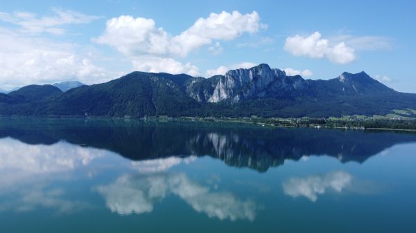 オーストリア,湖,生,Moondsee