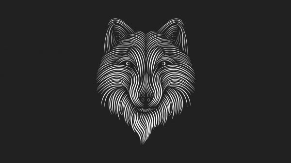 illustration,wolf,dark