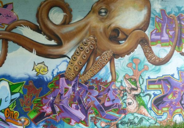 la pittura,graffiti,arte di strada,Sketch up,polpo,murale