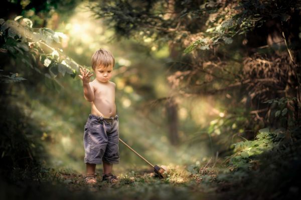 luz de sol,bosque,naturaleza,rayos de sol,niños,selva