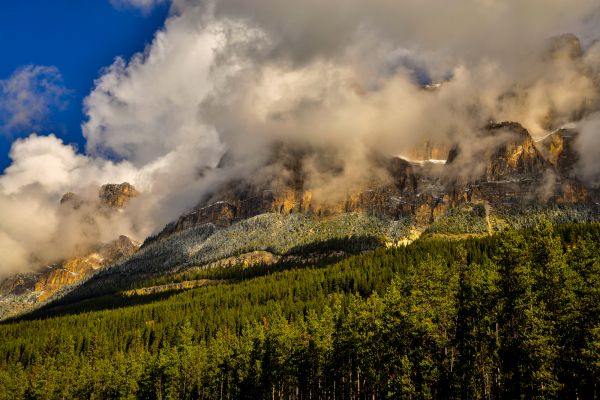 Canada,Vườn Quốc gia Banff,Núi,Sương mù,cỏ