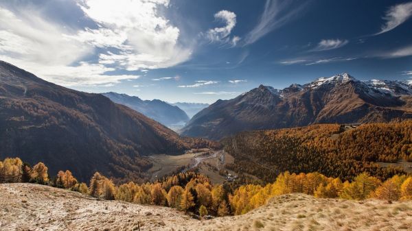 Árboles,paisaje,otoño,montañas,colina,lago