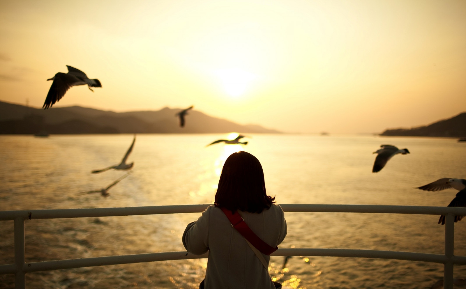 gadis, kapal, pelayaran, matahari terbenam, Matahari, camar laut, pemandangan