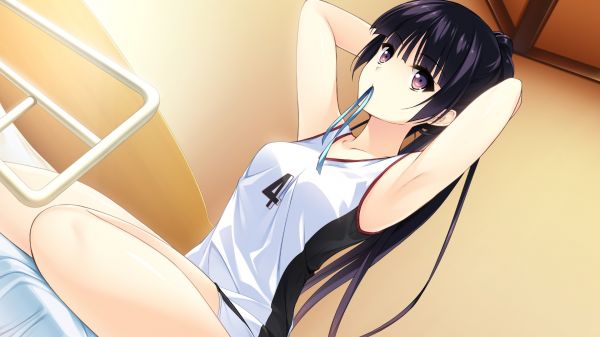 long hair,anime,anime girls,black hair,visual novel,ponytail