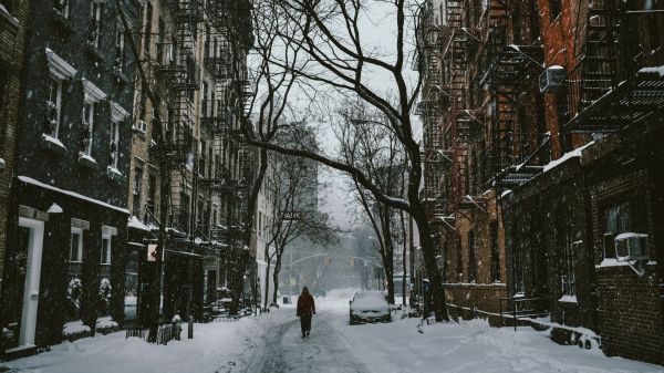 trees,city,street,building,sky,snow