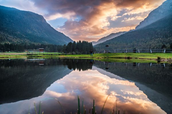 zonlicht, landschap, Bos, mensen, bergen, bloemen