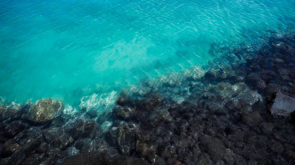 water,rocks