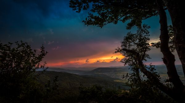 paisaje,bosque,colina,naturaleza,luz de sol,puesta de sol