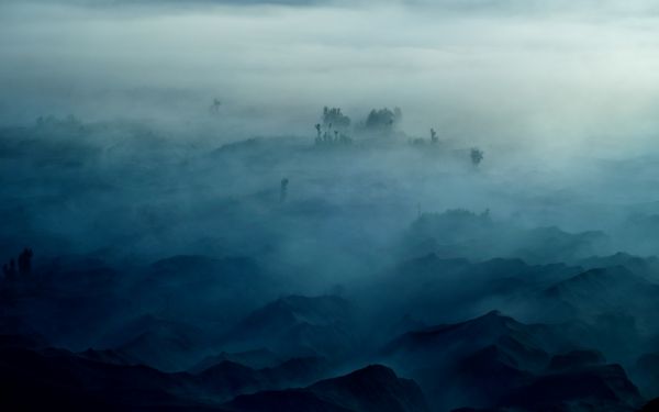 木,風景,山々,自然,青,朝