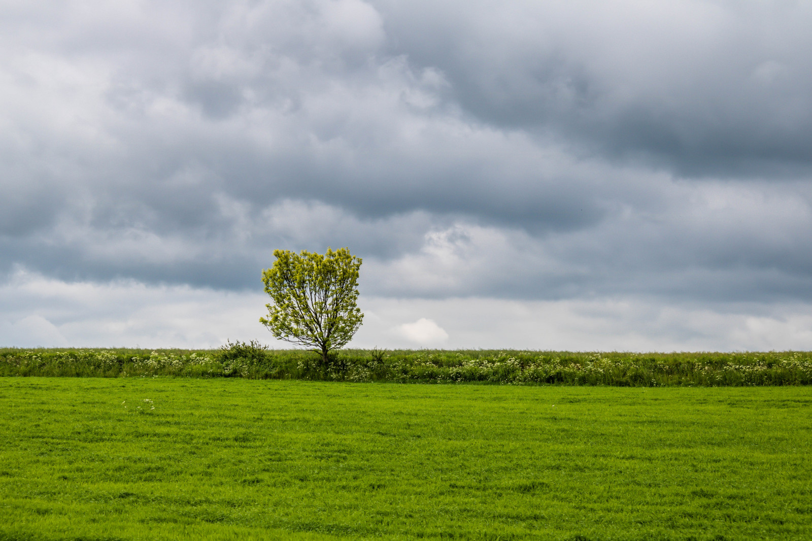 небо, Облако, Дерево, Himmel, Utsikt, Трад, Sterlen, Мольн, Геолокация, viewfromatrain, Камера сделать канон, Exif make canon, Sk nskaj rnv gar, Объектив exif efs18200mmf3556is, Выходное отверстие 80, Exif focallength 60мм, Exif isospeed 100, Модель камеры canoneos760d, Exif model canoneos760d, Sterlenmuseij rnv g