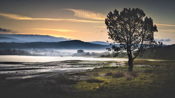 nube, cielo, planta, atmósfera, Natural landscape, árbol