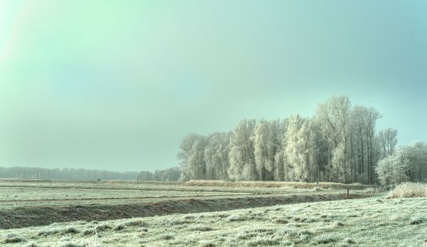 smorgens, 50mm, d5, HDR, tammikuu, Nederland