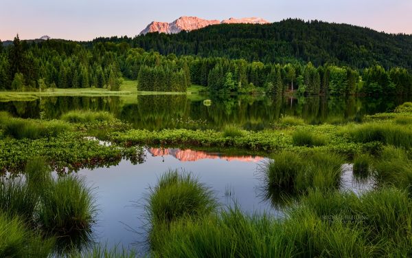 panorama,floresta,montanhas,lago,agua,natureza