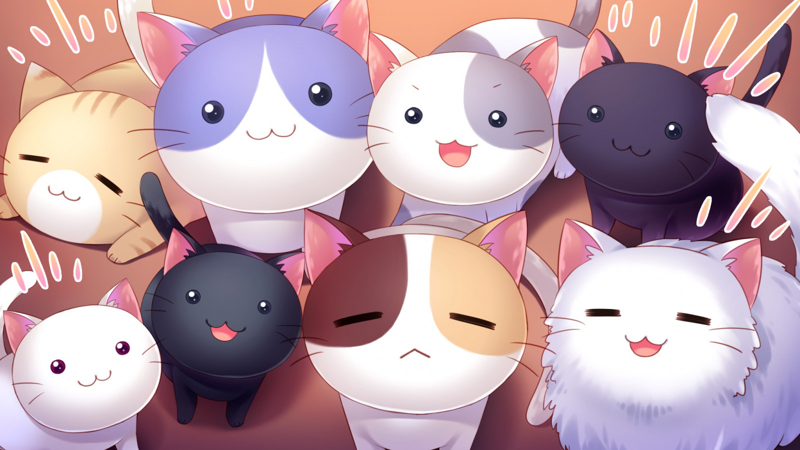 2048x1152 px, animal, cafetería, gato, CG, juego, Macchiato, Nyan, Cielo azul, sonreír, Yukie