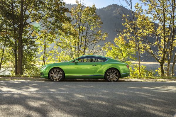 coche,vehículo,coche deportivo,2015,Bentley,Convertible