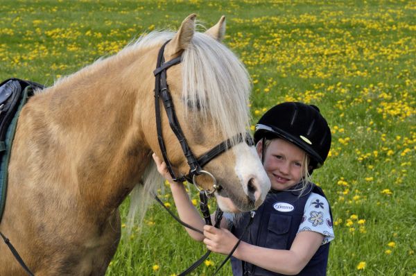 cavalo,pónei,menina