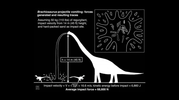 dinosaurussen,wetenschap,diagrammen,biologie,illustratie,monochroom