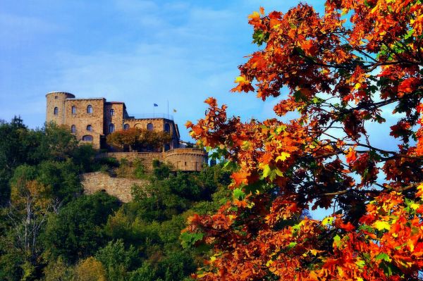 automne,hari,berawan,auvergne,Puy-de-Dôme,autofocus