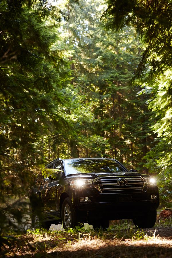 Landschaft, Auto, Fahrzeug, Toyota, Wald, Natur