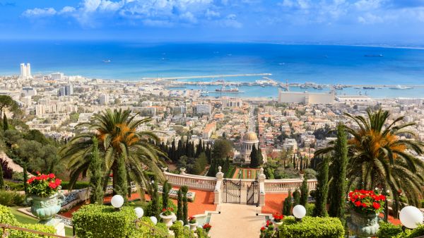 Israel,garden,palm trees,sea,cityscape,Middle East