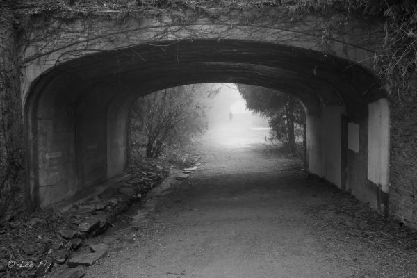 calle,la carretera,blanco,negro,monocromo,Mañana