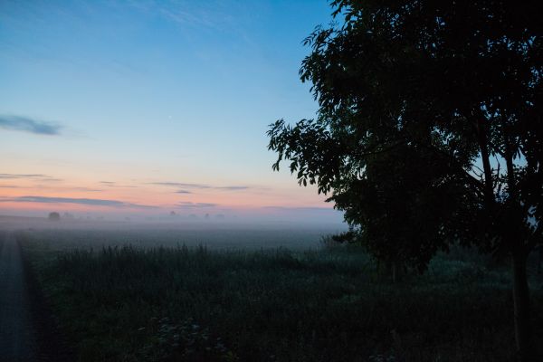 luce del sole, paesaggio, tramonto, collina, natura, foresta