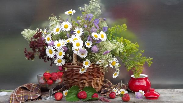 flower,flowers,1920x1080 px,berries,bouquet,daisies