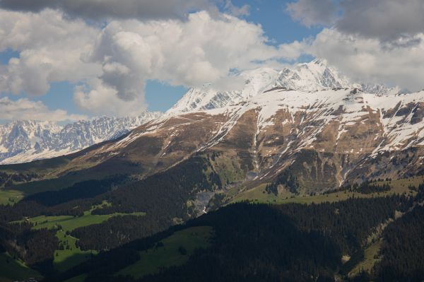 utendørs,natur,trær,skog,fjellene,grønt